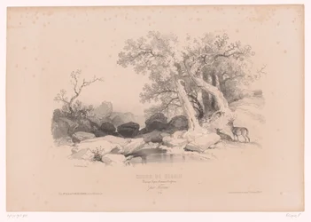 Rocky Landscape with Water and Two Deer Drawing Course with Studies of Landscapes, Animals, and Details (series title)