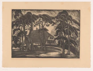 House Among Trees