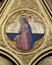 Unknown Image