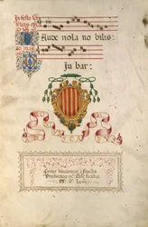 Coat of Arms