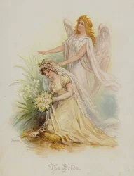 The Bride