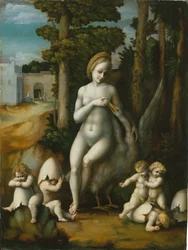 Leda and the Swan