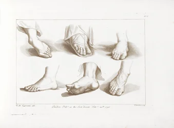 Six Feet (Cipriani