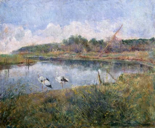 Massaciuccoli