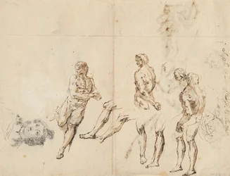 Head of a Woman and Studies of a Male Nude