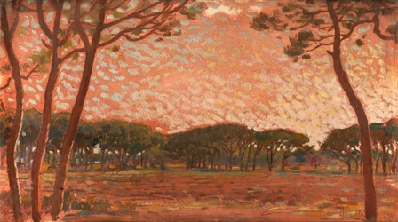 Pinewood in Maremma