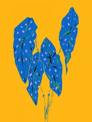 Blue Spotted Leaves