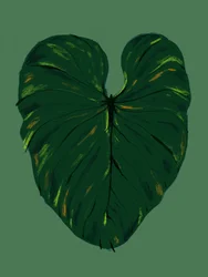 Dark Green Tropical Leaf