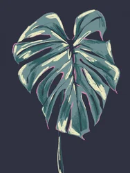 Dark Tropical Monstera Leaf