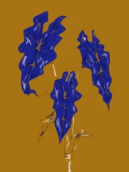 Golden Blue Leaves