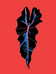 Modern Leaf Veins