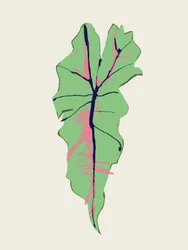 Pink Veined Green Leaf