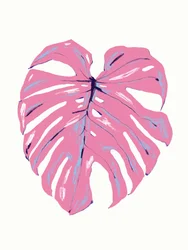 Tropical Pink Monstera