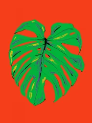 Vibrant Monstera Leaf