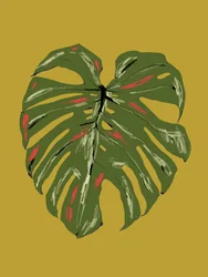 Vibrant Monstera Leaf