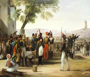 Napoleon after Battle of Wagram