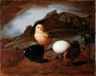 Chicks