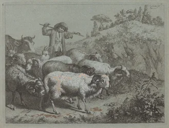Shepherd with his Flock