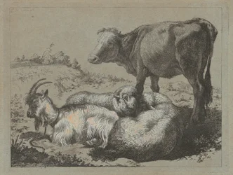 Standing Ox, Two Sheep, and a Goat