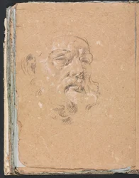 Verona Sketchbook: Male Head (detail)