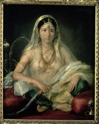 Portrait of a Mogul Lady