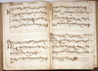 Carnival Mass in Liber Capella by Franchini Gaffurio. Vol.III