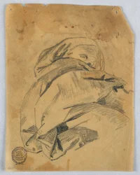 Drapery Study
