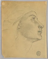 Head of a Woman