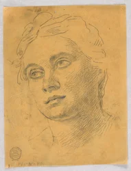 Head of a Woman