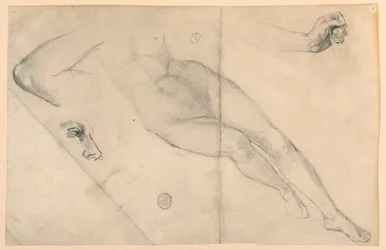 Nude Study