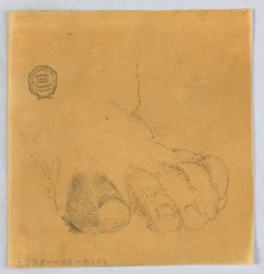 Sketch of Toes