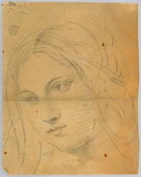 Sketch of Woman