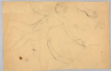 Sketches of Female Nude and Hands
