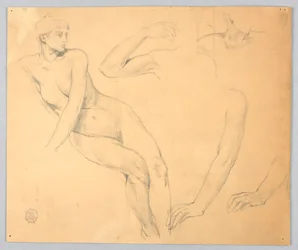 Sketches of a Female Nude and Arms