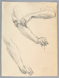 Studies of Arms