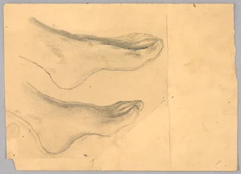 Study for 