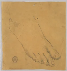 Study of a Right Foot