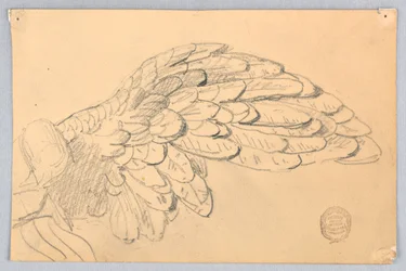 Study of a Wing