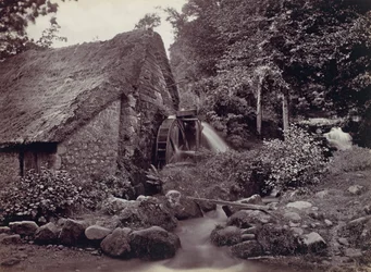 Chargford, Holy S. Mill