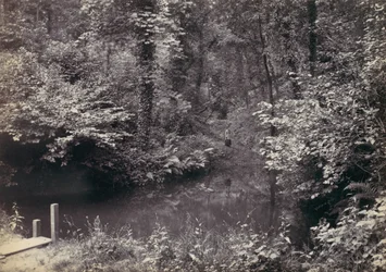 Colwyn Bay. The Pool in the Wood