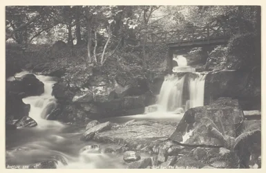 Glen Lyn, the Rustic Bridge, 1860-94