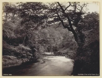 Ivy Bridge, View on the Prysor River