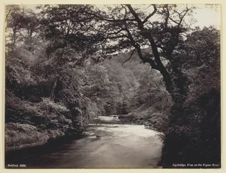 Ivy Bridge, View on the Prysor River, 186094