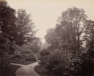 Pathway in Alexandra Park, c. 1863