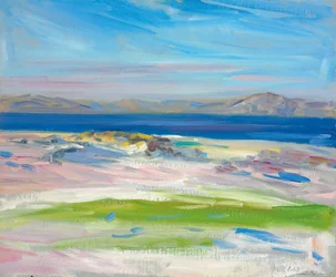 The View of the White Sands, Iona