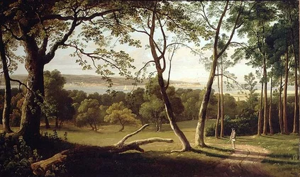 The Powderham Estate, Devon