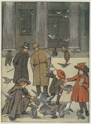 London: The Museum Pigeons