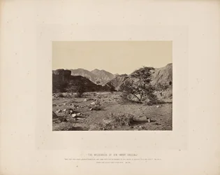 The Wilderness of Sin (Wady Shellal)