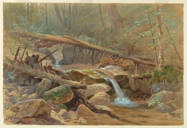 Pool in the Woods