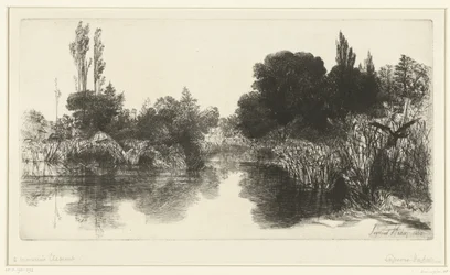 Pond